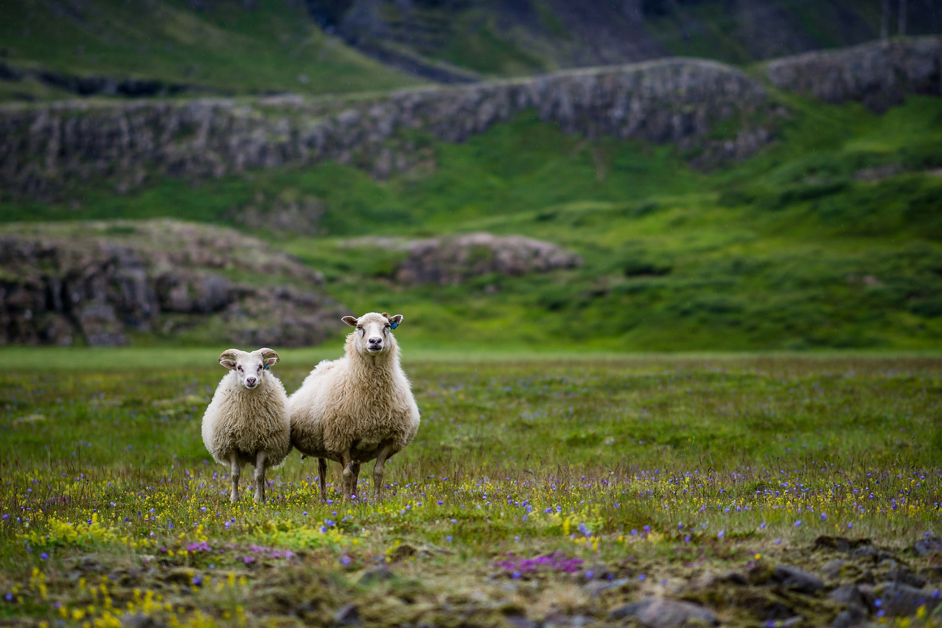 원 모어 포스트